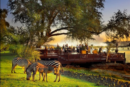 /Media/images/Product_Images/hotelreviews/royal livingstone/the sundeck with zebras in the foreground.jpg